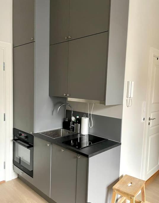 Modern And Cozy Studio Apartment In Central Oslo Luaran gambar
